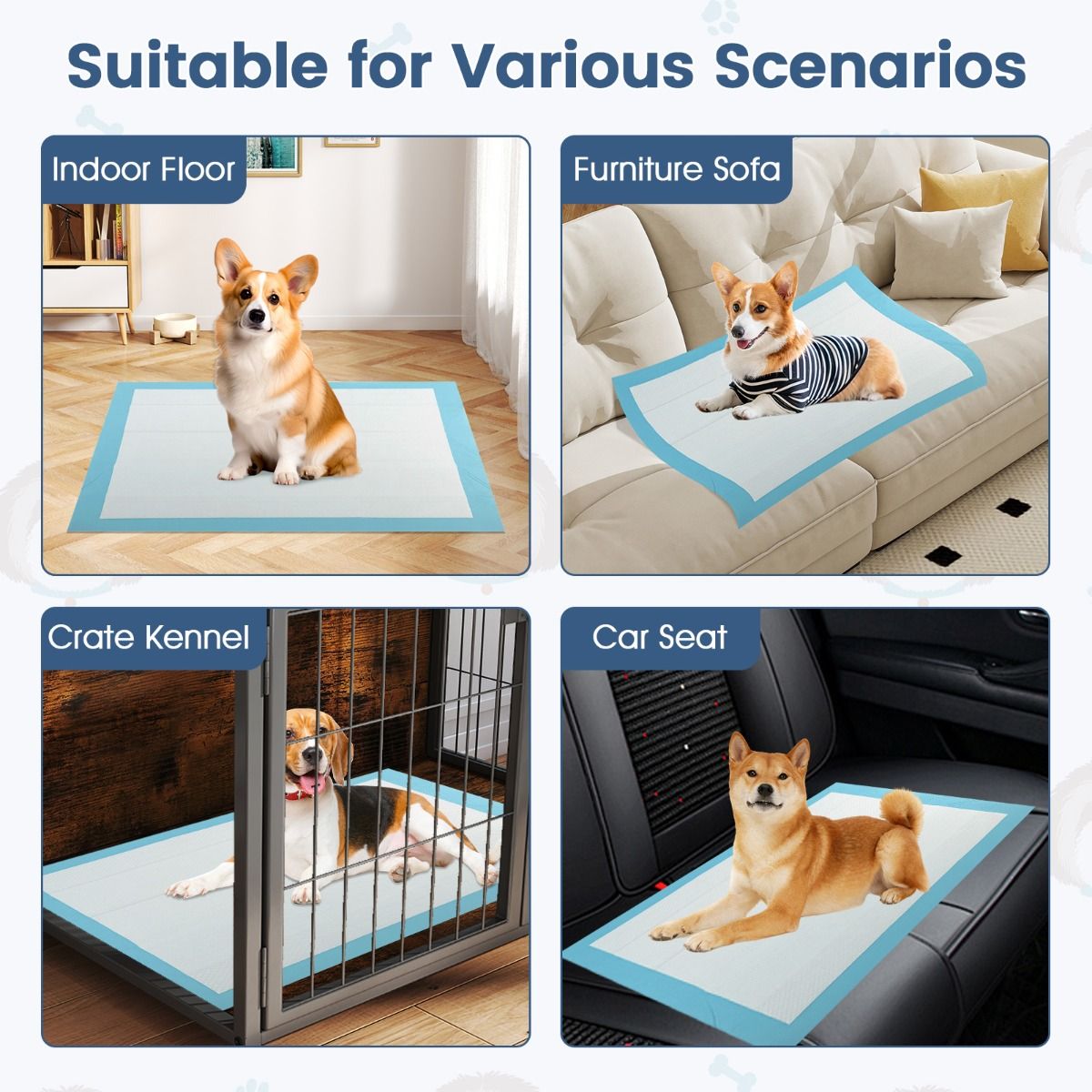 Tapis d'entraînement Coast Puppy - absorption à 6 couches - jetables - 90 x 60 cm - 150 pièces - bleu/blanc