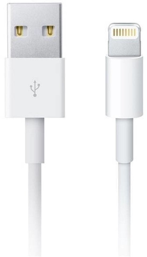 Apple - Câble de recharge Lightning - USB-A vers Lightning - 12 W - 2 m - Blanc