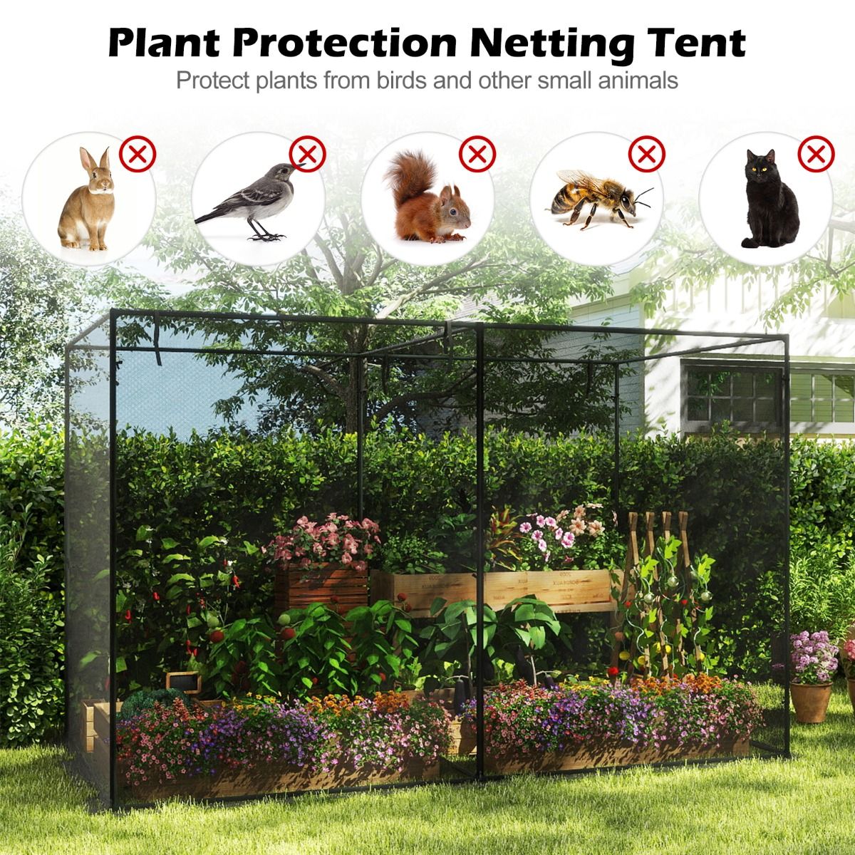 Tente pour plantes Coast - Armature métallique - Filet anti-insectes - Avec sac de transport - 310 x 200 x 200 cm - Noir