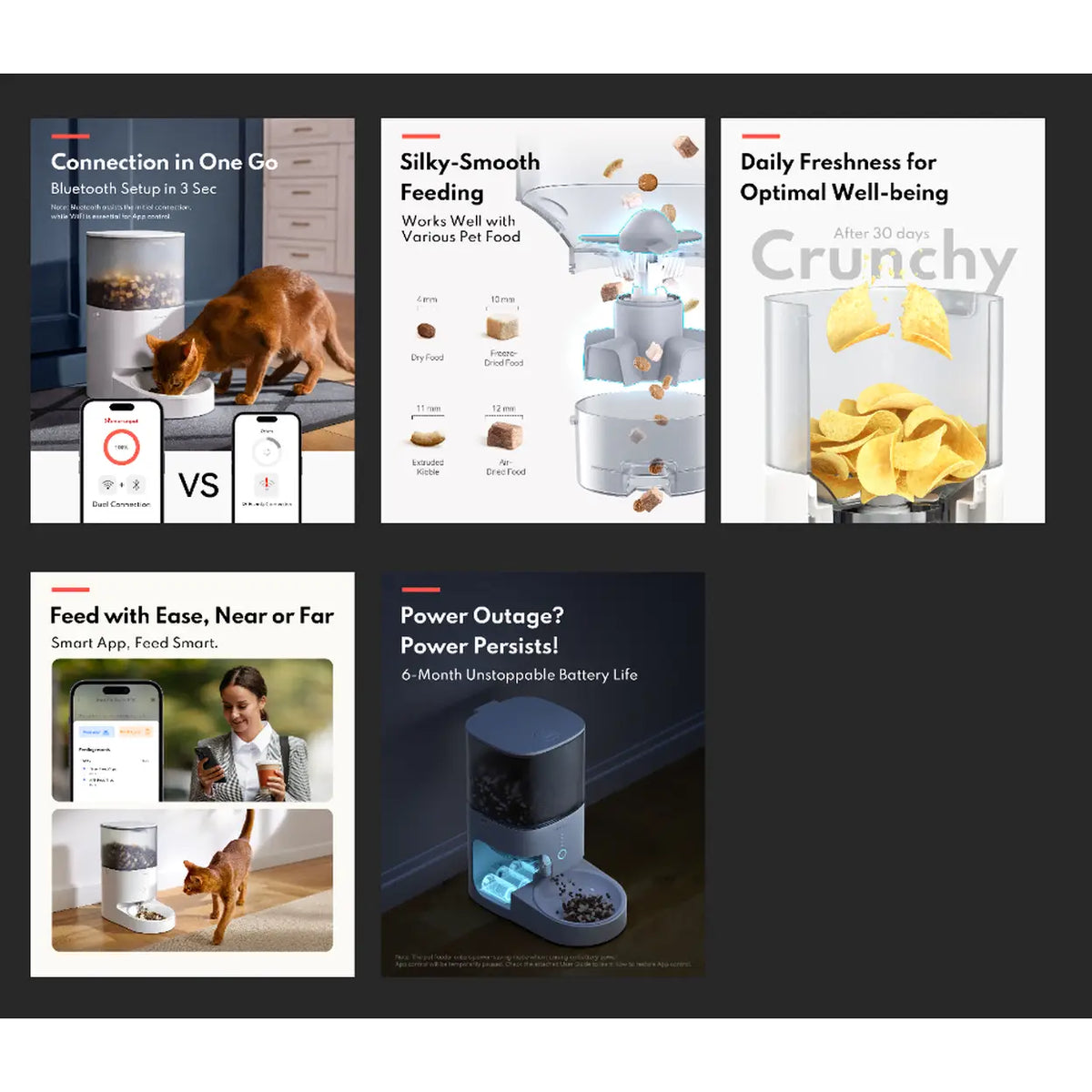 Distributeur automatique de nourriture Homerunpet - commande via application - bol en acier inoxydable