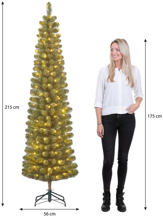 Black Box Trees Charlton : petit sapin de Noël avec minuterie et fonction de variation d'intensité lumineuse - Décoration de Noël d'intérieur pour les fêtes de fin d'année - Sapin artificiel à charnières - H 215 x Ø 56 cm - Vert
