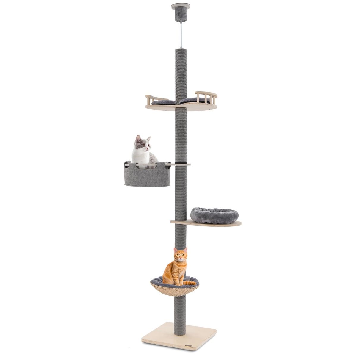 Arbre à chat Coast, du sol au plafond - hauteur réglable - 5 niveaux - gris et naturel