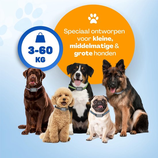 Vulpes Goods® Collier anti-aboiement MAX - Collier d'éducation sans choc - Dispositif anti-aboiement pour petits et grands chiens - Imperméable - Rechargeable - Vibration et Audio - 3 colliers supplémentaires