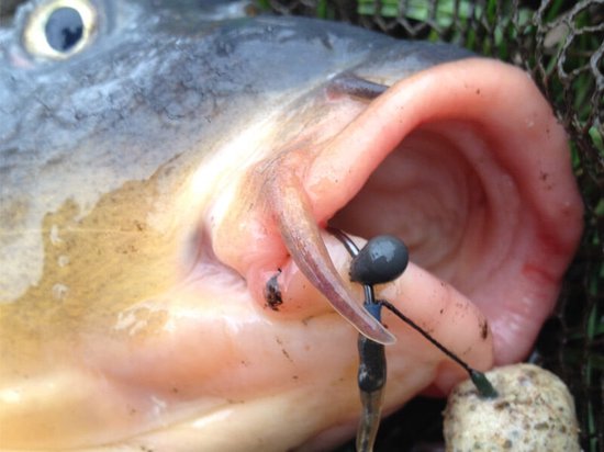 PB Products - Downforce Tungsten - Perles Shot On The Hook - 0.2 grammes