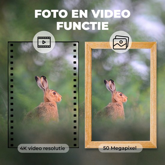 Denver Caméra de Chasse avec Vision Nocturne - 4K Ultra HD - 50MP - Écran LCD - Étanche - WCT8016