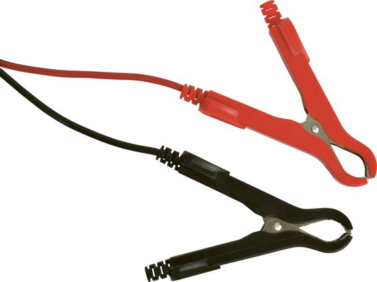 Chargeur de batterie Absaar Pro 6.0 (12/24 V - 6 A) 0-120/180 Ah Rouge/noir