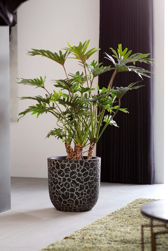Capi Europe - Pot de fleurs Bol Clay NL - 35 x 34 - Taupe chaud - Pot de fleurs pour l'intérieur et l'extérieur - Garantie à vie - Résistant aux chocs - 100 % recyclable - Fabrication neutre en CO₂ - KWTC932