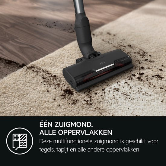 AEG AP71AB14UG Animal 7000 - Aspirateur à manche