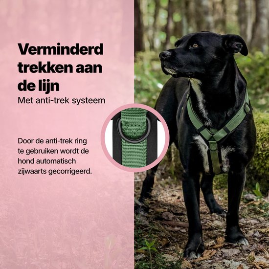 Harnais Jake et Jacky pour petit chien - Harnais anti-traction - Harnais pour chat - Harnais Y pour chien - Harnais pour petit chien - Harnais pour chat - Vert - Taille XS