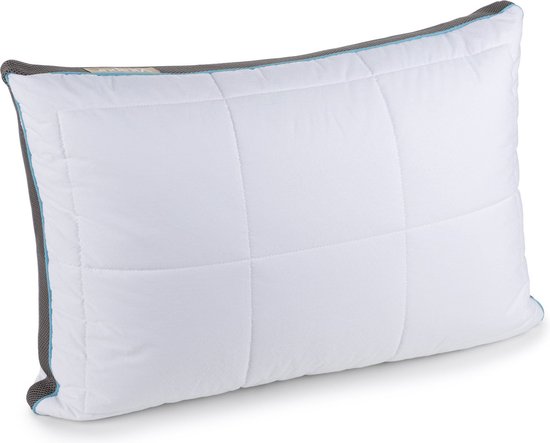 Oreiller Vitapur - Oreiller - Oreiller en mousse à mémoire de forme - Memosilver - Convient aux dormeurs sur le dos, sur le côté et sur le ventre - Mousse à mémoire de forme - Réduit les douleurs cervicales - 50x70 cm