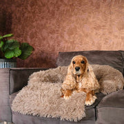 By Cee Cee Original Dog Rug Bench - Panier pour chien - Premium - Entièrement dézippable - Fluffy Mocha - Taille M - 90x90