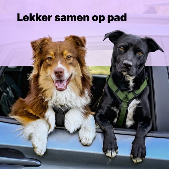 Harnais Jake et Jacky pour petit chien - Harnais anti-traction - Harnais pour chat - Harnais Y pour chien - Harnais pour petit chien - Harnais pour chat - Vert - Taille XS