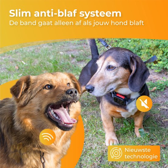 Nuvance - Collier anti-aboiement digital - Dispositif anti-aboiement sans choc - Vibration et bips - Rechargeable - Collier anti-aboiement pour chiens et chiots - 6 étapes