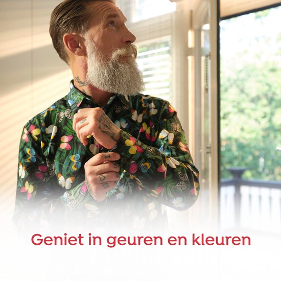 Robijn Klein & Krachtig Collections Color Zwitsal Détergent liquide 34 lavages