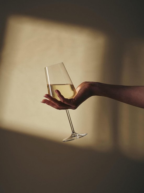 Schott Zwiesel Passionata - Vin blanc - 450ml - Verres - Cristal - 2 pièces