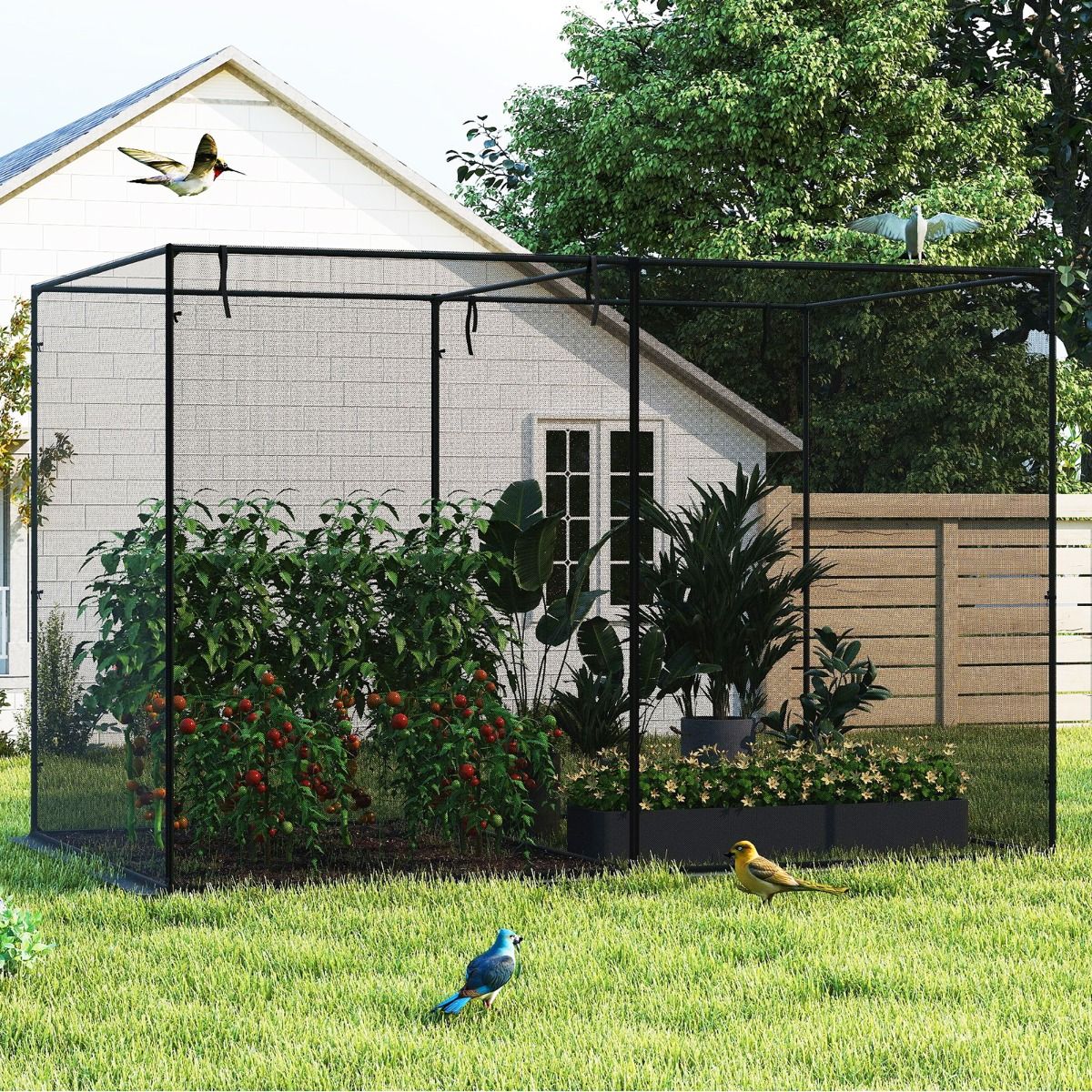 Tente pour plantes Coast - Armature métallique - Filet anti-insectes - Avec sac de transport - 310 x 200 x 200 cm - Noir