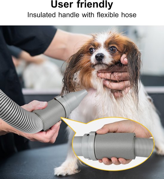 Fuegobird CL-DP Sèche-cheveux pour animaux de compagnie - Sèche-cheveux professionnel pour chiens - Conception silencieuse - 50 dB - Avec 4 embouts - Sèche-cheveux pour chiens - Avec mode aspiration - Blanc