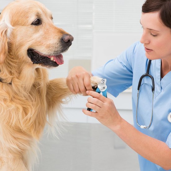 Coupe-ongles professionnel pour chien et chat - Coupe-ongles avec butée de sécurité et lime à ongles - Bleu