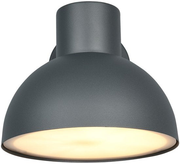 TRIO ELBE - Applique murale - Anthracite - 1 ampoule E27 de 4,9 W non fournie - Montage mural - Éclairage extérieur - IP44