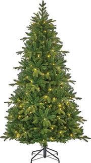 Black Box Trees Brampton Artificial Christmas Tree Slim with LED Lights - H185 x Ø114 cm - Vert