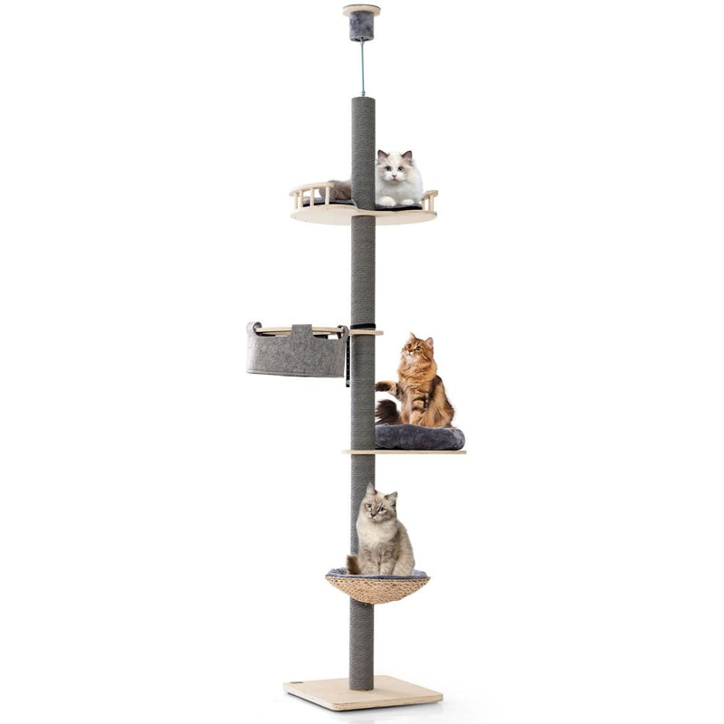 Arbre à chat Coast, du sol au plafond - hauteur réglable - 5 niveaux - gris et naturel