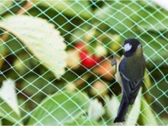 Filet anti-oiseaux, polyester, mailles de 2 cm², 4 x 10 m, vert