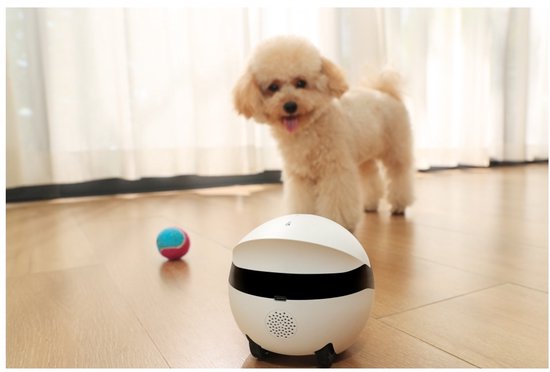 Enabot ROLA Mini - Robot intelligent pour animaux de compagnie - Caméra 2304 x 1296 - Batterie 5000 mAh