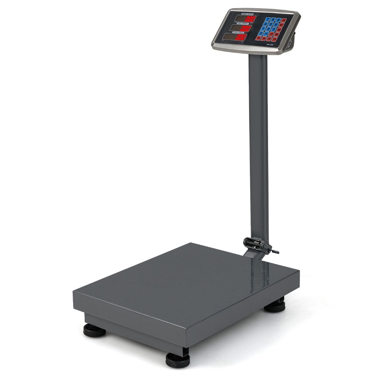 Balance numérique Coast - Capacité de 300 kg - Calcul du prix - Argent