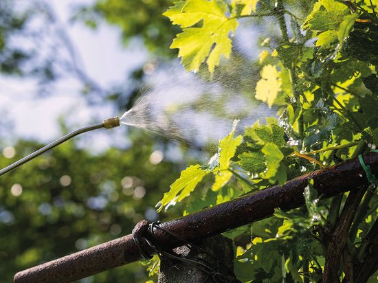 Stanley Pressure Sprayer 5 L, pulvérisateur à pression, pulvérisateur de jardin, électrique, batterie rechargeable lithium, lance télescopique, buse réglable, autonomie 2.5 h, max 2 bar, 0.33 L/minute, jaune/noir