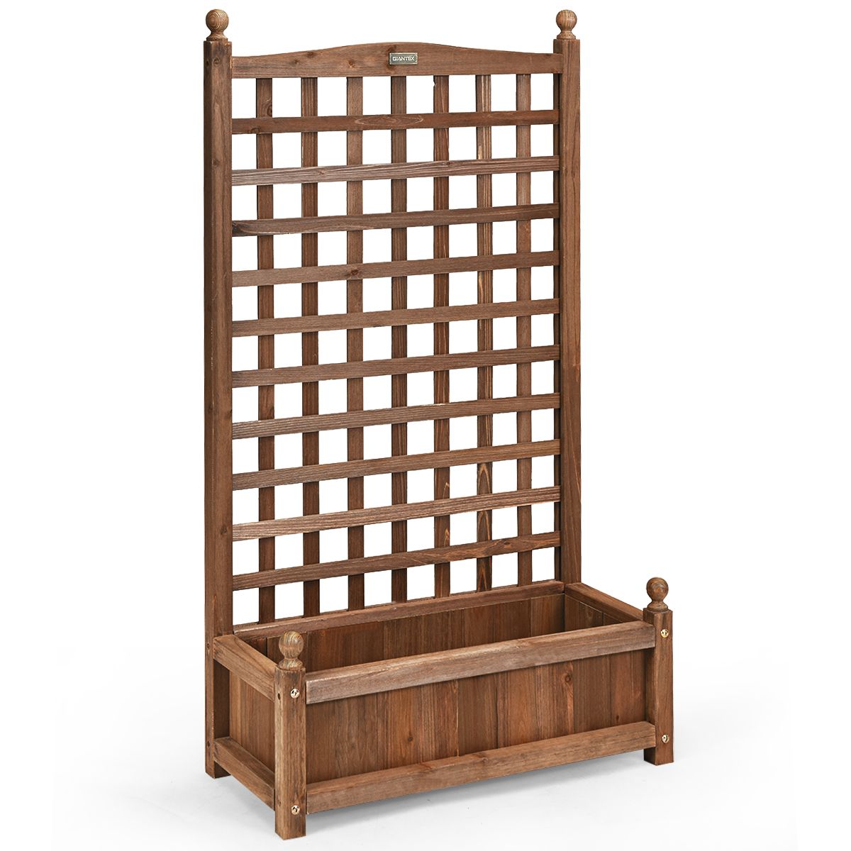 Jardinière Coast avec treillis - jardinière spacieuse - bois de pin massif - marron foncé - 64,5 x 28 x 120 cm
