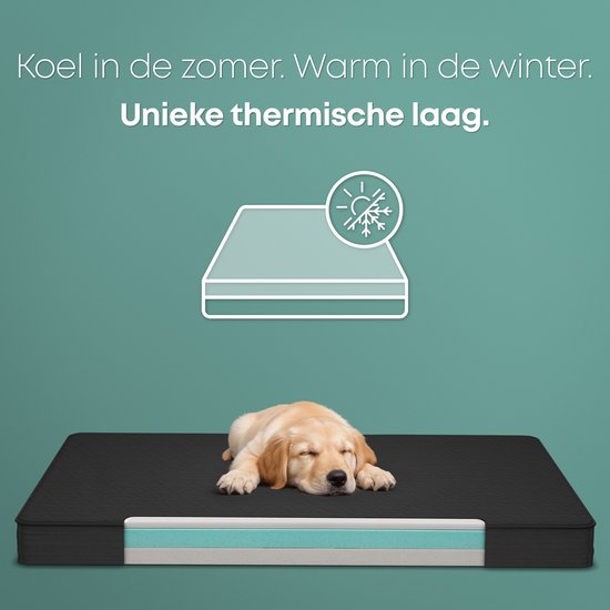 CozySense® Coussin orthopédique pour chien 75 X 45 cm - Taille M - Imperméable - Convient comme coussin de banc et lit pour chien - Housse lavable - Noir