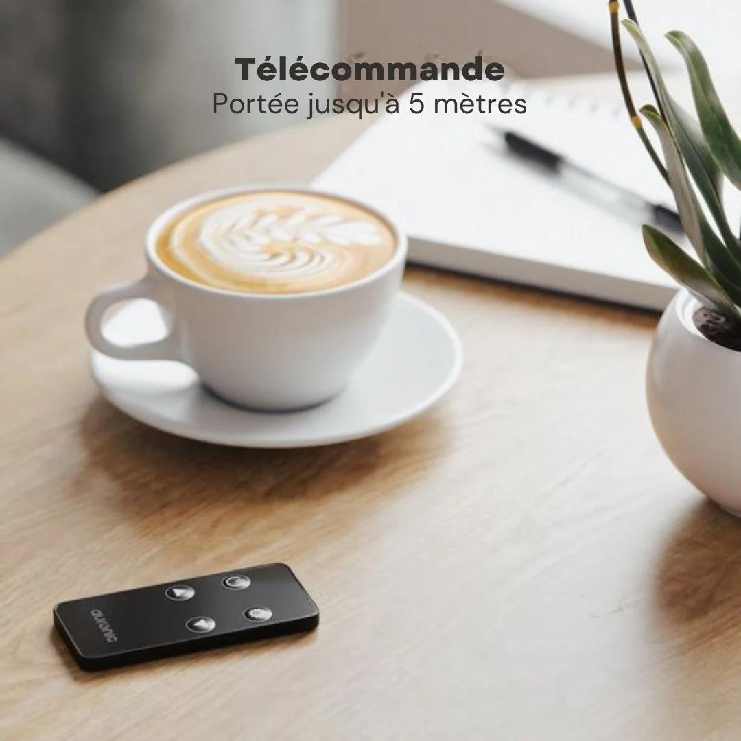 Radiateur électrique - Auronic - à convection avec thermostat et télécommande - Panneau en verre - 2500 W - Noir