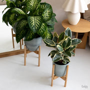 Gadgy Bamboe Plantenstandaard 2 st - Plantentafel - Plantentafeltje voor binnen - Plantenrek - Uitschuifbaar - Hout - Ø 20 tot 30 cm