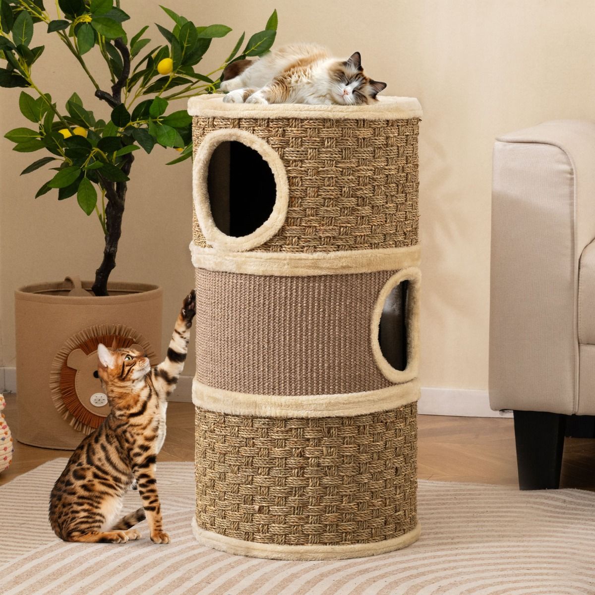 Tour pour chats Coast à 3 étages - poteau à griffer en sisal - coins de repos douillets - kaki et marron - 36 x 36 x 70 cm