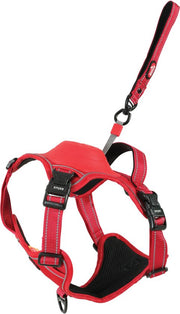 Harnais pour chien ZOLUX Easyride rouge avec laisse automatique - Taille M