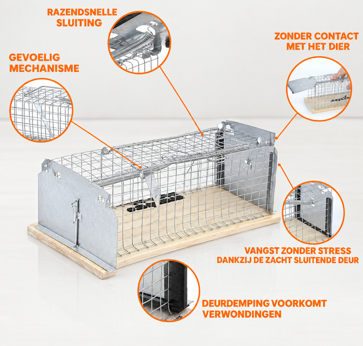 LEBENLANG Rapizz Piège à rats pour capture vivante, lot de 2 - Bois - 30 cm - Respectueux des animaux