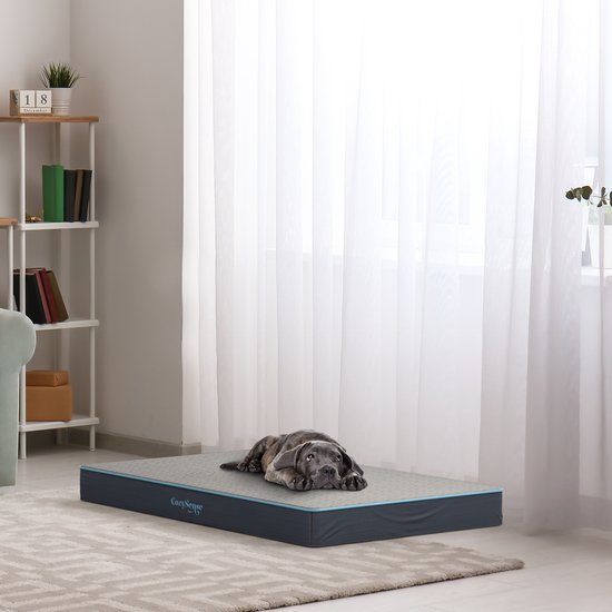 CozySense® - Coussin orthopédique pour chien 75 X 45 cm - Taille M - Imperméable - Convient comme coussin de banc et lit pour chien