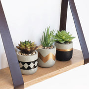 Gadgy Wandplank Zwevend - Wandplank Hout - Wandrekken - Wandplank met Leren Riemen - Boekenplank - Wanddecoratie - Book Shelf 50x15CM