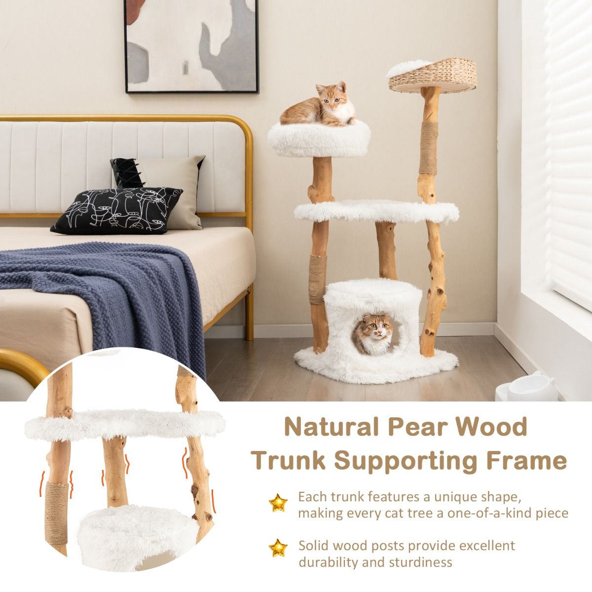 Arbre à chat Coast - Bois massif et jute - 5 niveaux - Naturel et blanc - 124 cm