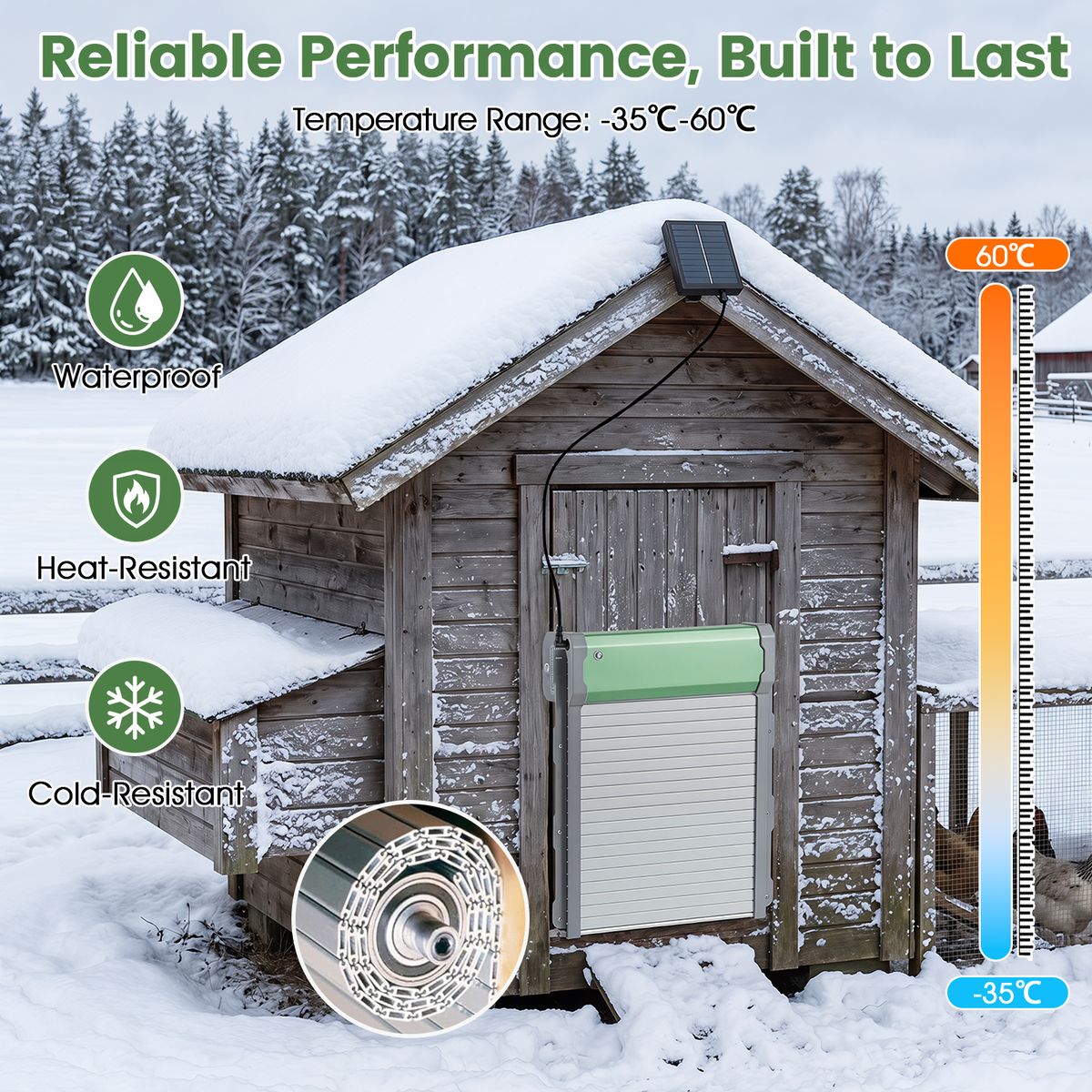 Trappe automatique pour poules Coast - énergie solaire - 4 modes de fonctionnement - vert et argent