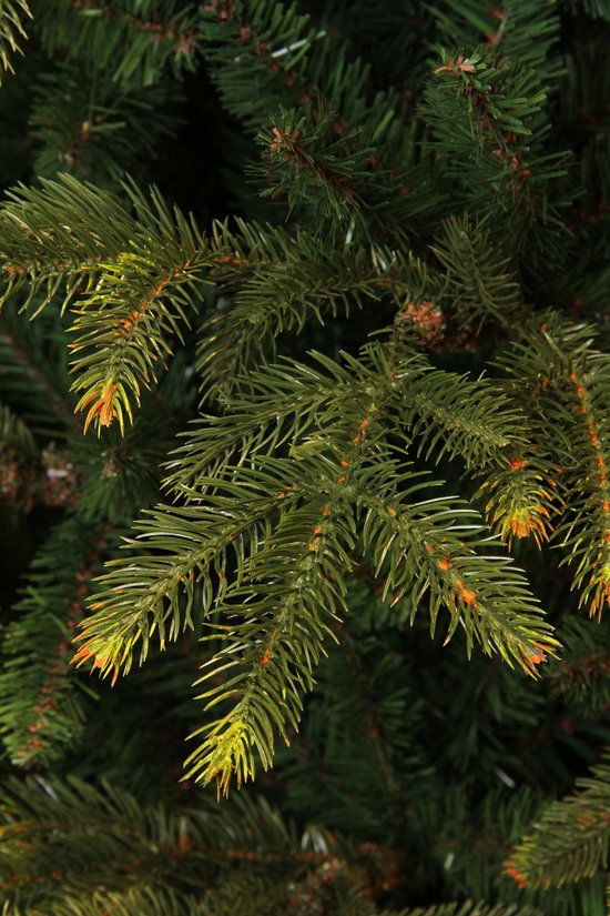 Black Box Trees Frasier - Sapin de Noël au volume généreux et 1 298 branches - Décoration de Noël d'intérieur - Sapin artificiel facile à monter - H 155 x Ø 109 cm - Vert