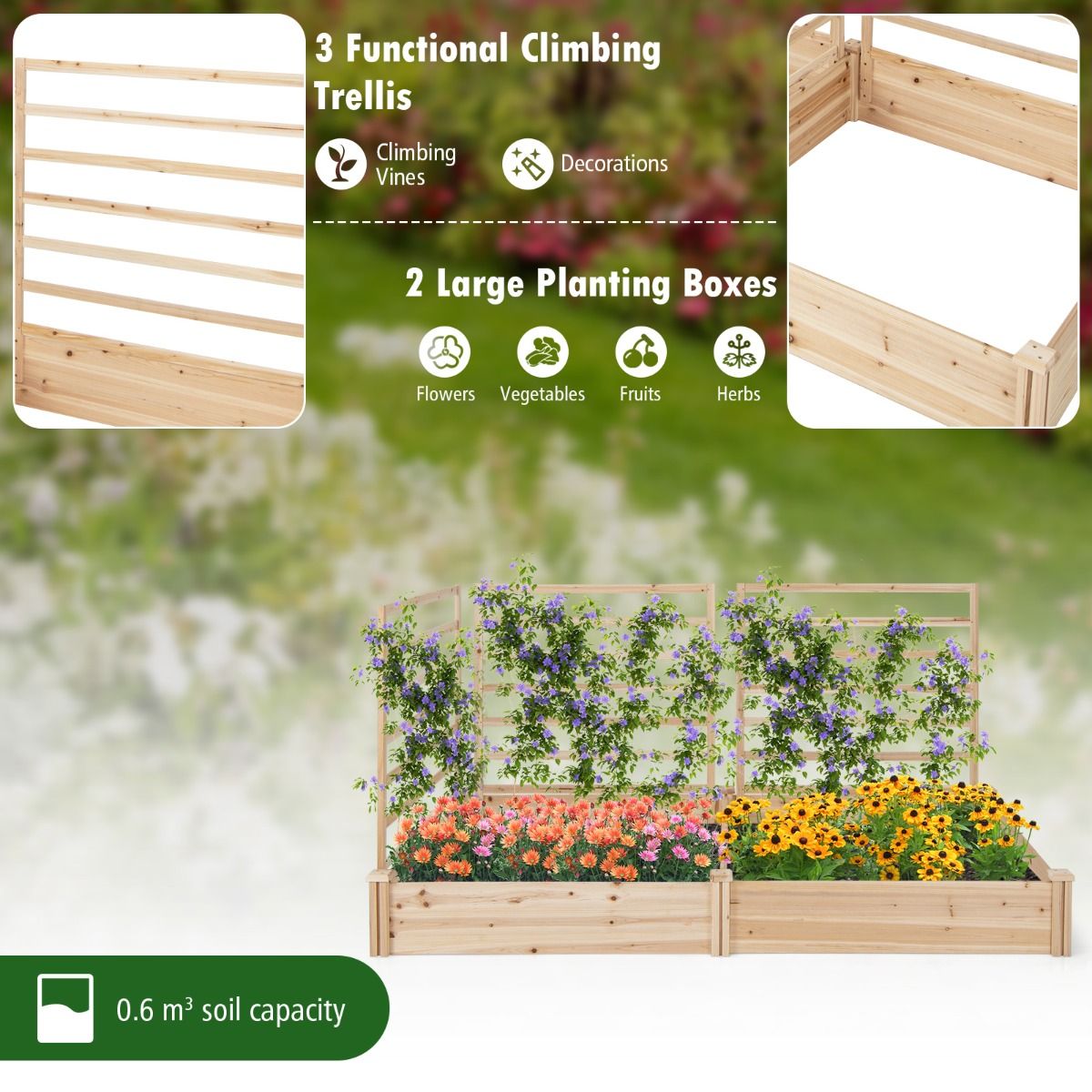 Jardinière en bois Coast avec 3 treillis - Potager surélevé - Fond ouvert - Bois de pin naturel - 222 x 114 x 110 cm
