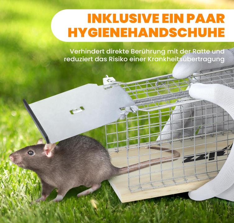 LEBENLANG Rapizz Piège à rats pour capture vivante, lot de 2 - Bois - 30 cm - Respectueux des animaux