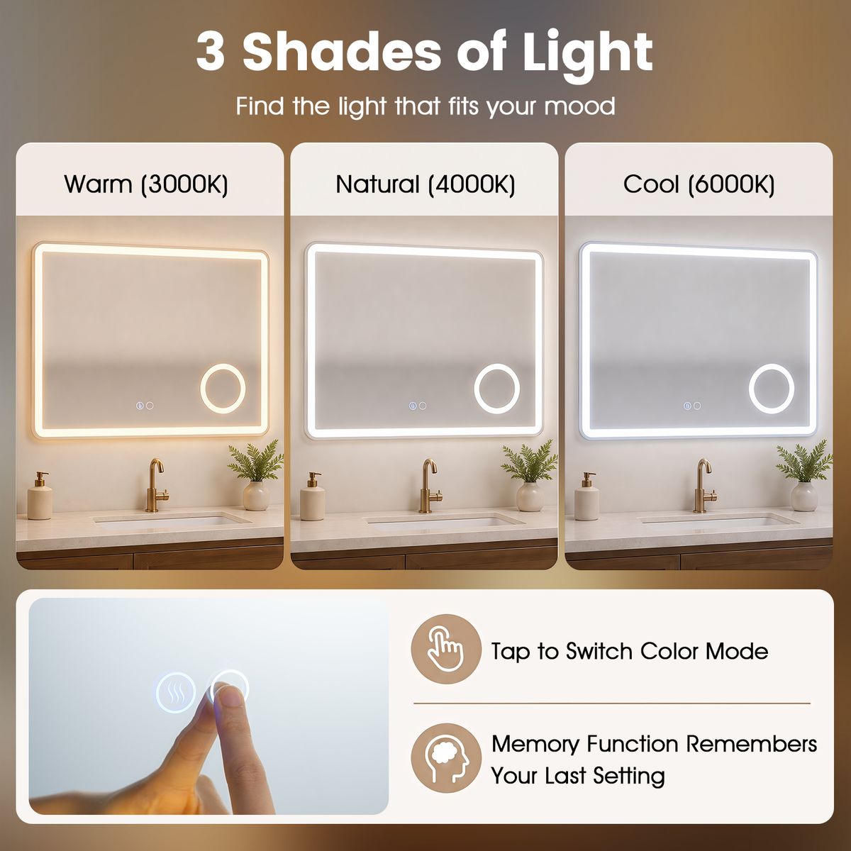 Miroir de salle de bains Coast à LED - miroir grossissant 3x intégré - éclairage à intensité variable - 80 x 60 cm - argent