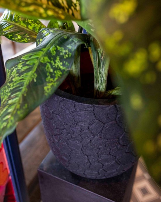 Capi Europe - Pot de fleurs Bol Clay NL - 35 x 34 - Taupe chaud - Pot de fleurs pour l'intérieur et l'extérieur - Garantie à vie - Résistant aux chocs - 100 % recyclable - Fabrication neutre en CO₂ - KWTC932