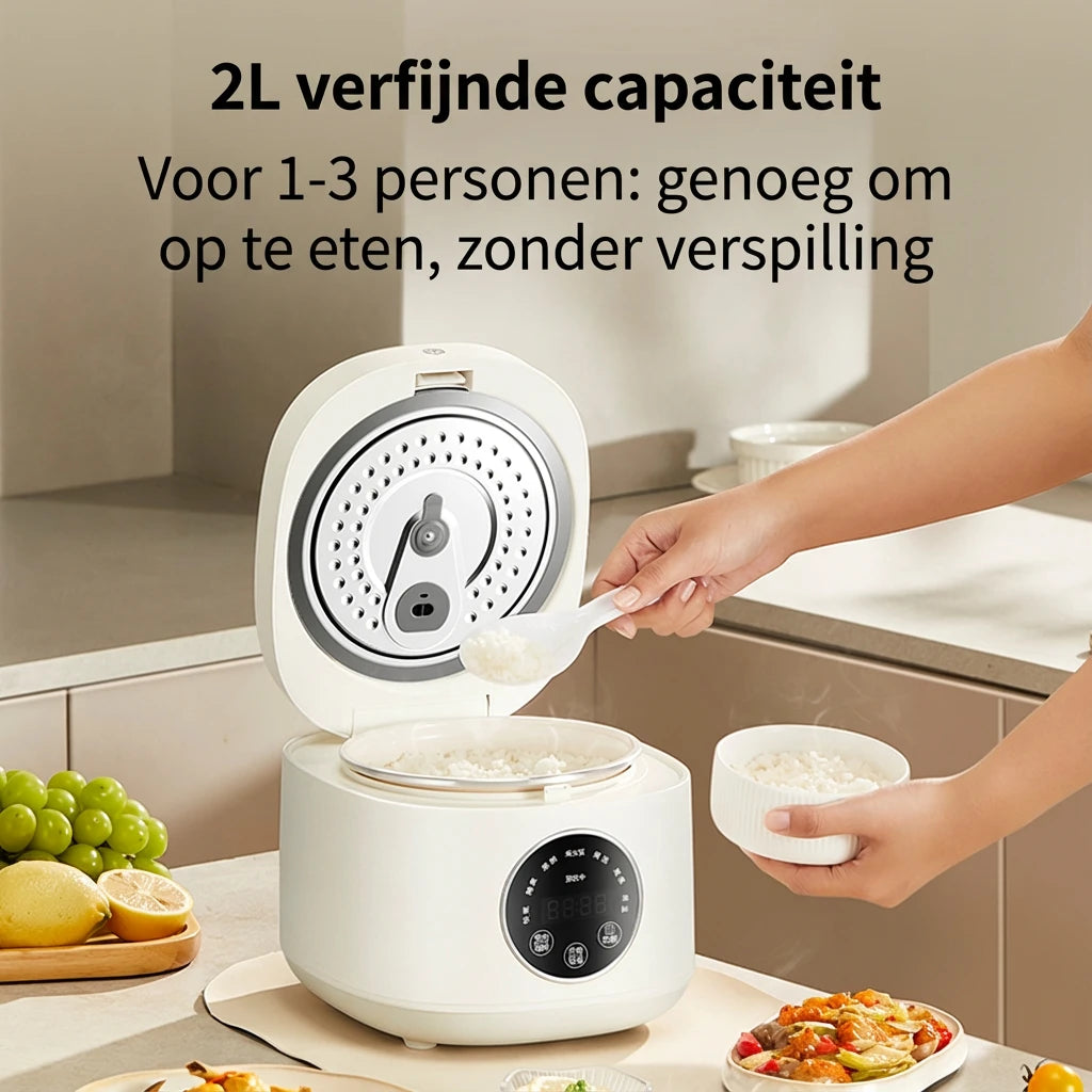 Cuiseur à riz Ochama - 2 litres - 500 W - 7 fonctions