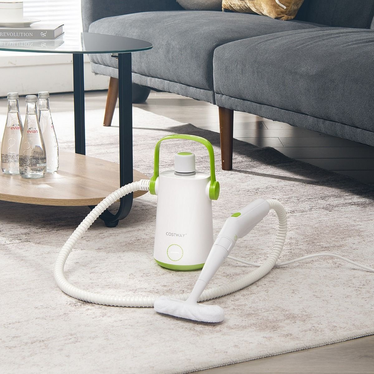 Coast Hand Steam Cleaner - avec 10 accessoires - 1000W - 300ML Capacité d'eau - 14 x 12 x 25 cm - Vert/Blanc