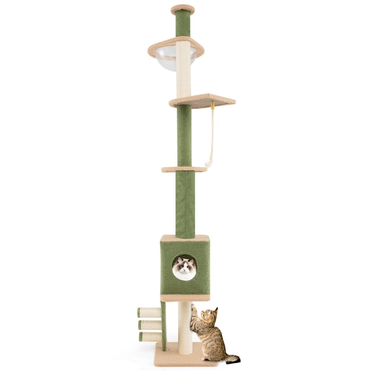 Griffoir réglable en hauteur 218-253 cm - Tour de luxe pour chats avec 5 étages, capsule spatiale, griffoir en sisal, corde et échelle - Pour les chats actifs et au repos