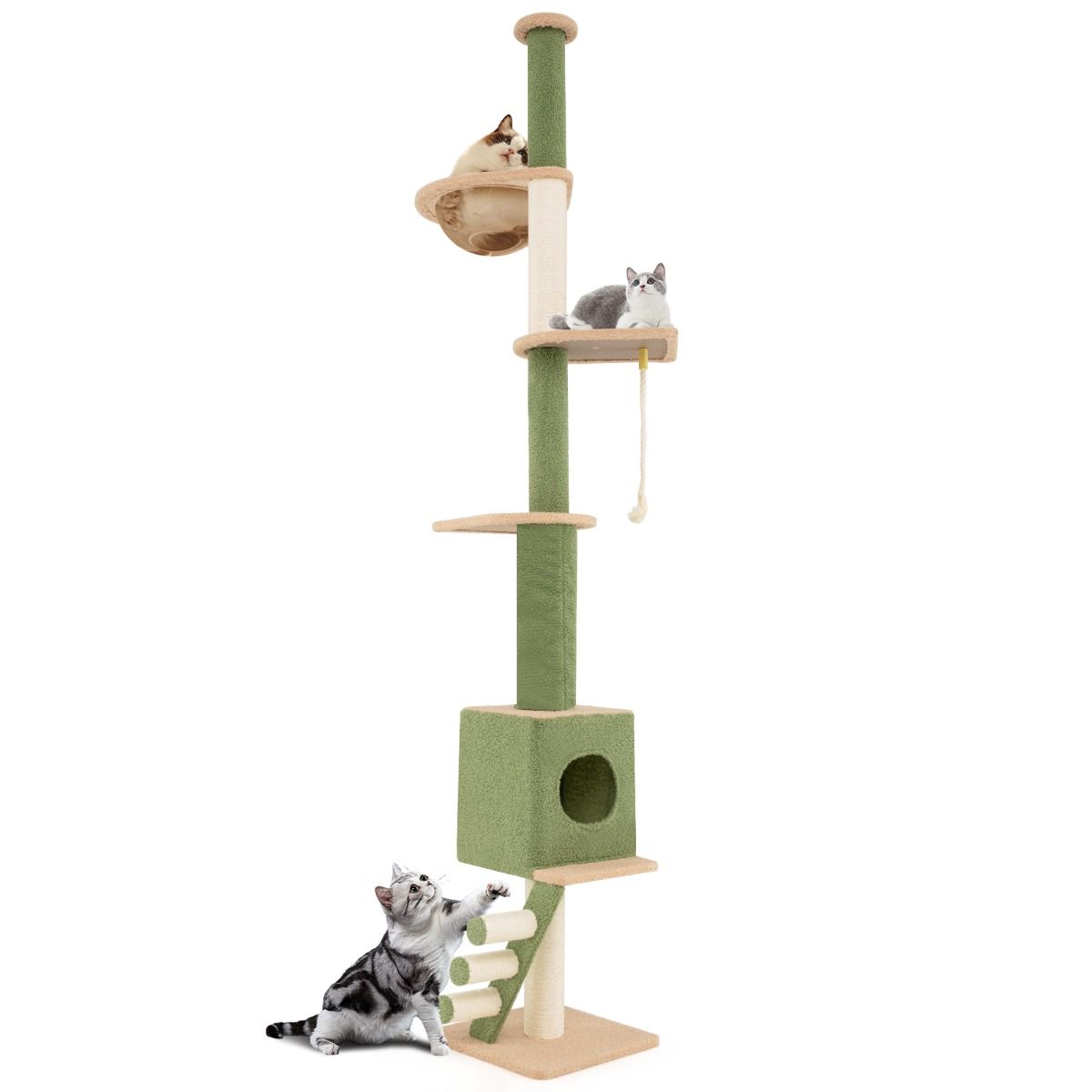 Griffoir réglable en hauteur 218-253 cm - Tour de luxe pour chats avec 5 étages, capsule spatiale, griffoir en sisal, corde et échelle - Pour les chats actifs et au repos